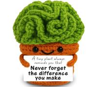 Skyists Handmade Crochet Succulent Planter - Never Forget Your Impact Appreciation Gift with Card - Inspirational Desk Symbol for Nurses, Teachers, Helpers, Mentors