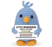 Skyists Inspirational Birthday Gift for Women - Handmade Positive Crochet Bird, Uplifting Encouragement Plush for Her, Friends, Coworkers, Daughter, Back to School Graduation Desk Decor