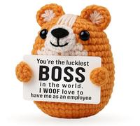 Skyists Small Funny Office Gifts for Boss Women Men, Assistant Employee Appreciation Gifts, Cute Fun Office Desk Decor Accessories, Emotional Corgi