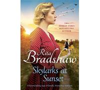 Skylarks At Sunset : An unforgettable saga of love, family and hope