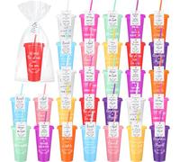 Skylety 40 Sets Christian Gifts Cups Bulk Bible Verse Tumblers with Lids Straws 24oz Religious Inspirational Plastic Cups with Scripture Cards Church Gifts for Women Men Party Favor (Multicolor)