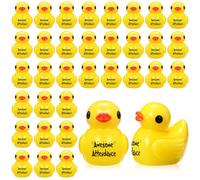 Skylety 50 Pcs Awesome Attendance Items Resin Duck for Student from Teacher Classroom Prizes Reward Graduation Party Favor End of The School Year Activities Duck with Glue Points