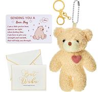 Skylety Pocket Hug Bear Gift Sending You a Hug Card Little Bear Key Chain and Best Wishes Greeting Card with Envelope Organza Bag Cheer up Gifts for Women Friend Lover Family