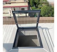 Skylight Basement Daylighting Door, Basement Window Well, Skylight Roof Window, Attic Skylight Cover for Hallway Sun Room Stairway Garage(60x100cm/23.6x39.4in)