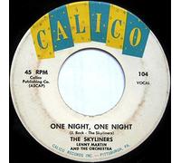 SKYLINERS - since i don't have you / one night, one night