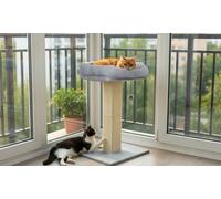 Skylos Cat Essentials Scratchers and Trees Selections: Scratching Boards 2-Piece Set Fish Shape
