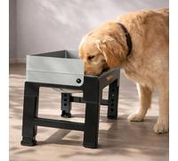 Skylos Elevated Pet Feeder 2 Raised Dog Bowls 6 Height Food Water Feeding