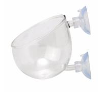 SkyPOOU Glass Plant Cups With Suction For Water Planting Mount Landscaping Clear Holders With Suction Water For Indoor