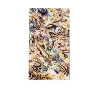 SkyPOOU Natural Abalones Shells Laminate Sticker 40x70mm For Art Craft Jewelry Making Scrapbooking Phone Case Home Decoration
