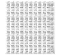 SKYPRO 100 Packs Silica Gel Packets, 5 Gram Dessicant Packets Silica Gel Moisture Absorber for Storage, Pure and Safe Silica Gel Desiccant Packs, Humidity Packs