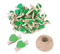 SKYPRO 25Pcs Green Mini Wooden Heart Clothespins, Multicolor Small Clothespins with Heart, 3cm Heart Photo Clips, Tiny Clothes Pins with String for Photos Display,DIY Craft,Wedding&Baby Shower Decor