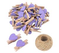 SKYPRO 50Pcs Purple Mini Wooden Heart Clothespins, Multicolor Small Clothespins with Heart, 3cm Heart Photo Clips, Tiny Clothes Pins with String for Photos Display,DIY Craft,Wedding&Baby Shower Decor