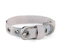 Skyscraper Looking Up at Sky Collar Easy-Fastening Buckle，Pet Supplies Adjustable ，Dog Collar The D-Ring Design Allows for Towing Or Hanging Tags，for Small to Medium-Sized Dogs.