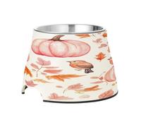 SKYSHU Autumn Harvest Pumpkin Elevated Dog Bowls, Prevention of Vertebrae Disease Raised Dog & Cat Bowl Stand with Removable Stainless Steel Bowls, Non-Slip Spill-Proof Pet Food & Water Bowl Dish