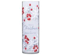 SKYSHU Christmas Snowflake Plastic Cylinder Flower Vase for Plants Bouquet, 1 Pack Unbreakable Tall Clear Vase for Wedding Centerpieces Home School Office Decor, 11.8 x 3.9 Inch