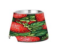SKYSHU Strawberry Elevated Dog Bowls, Prevention of Vertebrae Disease Raised Dog & Cat Bowl Stand with Removable Stainless Steel Bowls, Non-Slip Spill-Proof Pet Food & Water Bowl Dish