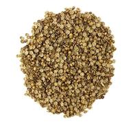 SkySprouts Organic Coriander Microgreen Seeds, 500g 500g - NON-GMO | High Germination