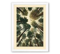 Skyward Through Evergreens Scandinavian Framed Wall Art Print A4 (29.7×21cm) White, Wall Decor for Living Room, Bedroom, Office & Home, Ready to Hang, Art Gift
