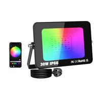 SKYWORLD 30W RGB Led Floodlight, Smart RGB Colour Changing Flood Lights with Plug, APP Remote Control, Dimmable Atmosphere Light for Garden Courtyard Landscap Party Stage Decoration IP66 Waterproof