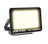 SKYWORLD Outdoor Flood LED Work Light, 30W 3000LM Led Floodlight