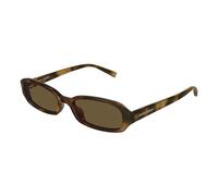 SL 872 Erin Sunglasses - female - Saint Laurent - Sunglasses - Brown - ONE SIZE - Accessories ONE SIZE