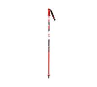 SL ALUMINIUM Junior ski poles