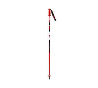 SL ALUMINIUM Junior ski poles