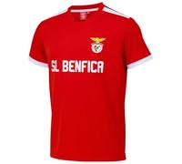 SL Benfica Official Collection Red Sports Jersey, Men's Large, Short Sleeve, Regular Fit