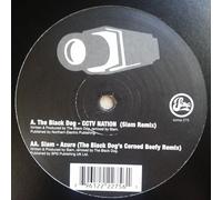 Slam Vs The Black Dog - Slam Vs The Black Dog [VINYL]