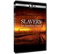 Slavery By Another Name [DVD] [Region 1] [US Import] [NTSC]