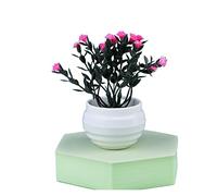 SLCHJX Artificial Trees Artificial Flowers Bonsai Small Simulated Pot Flowers Fake Plants Office Table Potted Ornaments Home Garden Decor Simulated Pine,A1