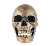 SLCHJX Home Decoration Figurin Outdoor Statues Skull Head Resin Crafts Home Decoration Aquarium Ornament Personalized Desktop Decoration Fireplace Loft Crafts Ornaments
