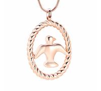 SLCHJX Peace Dove Cremation Jewelry Urn Necklace Memorial Ashes Stainless Steel Women and Men Pigeon of Pendants Keepsake Gifts