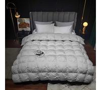 SLDAGe Lightweight Quilted Queen-Size Comforter,Luxury All Season Hotel Bedding Comforters,Soft and Breathable Medium Warm Comforter,Premium Down Duvet Insert,Grey Cotton Shell,79'' x 91'' - 4kg