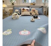 SLDAGe Summer Cooling Bed Mat Soft