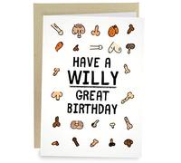 Sleazy Greetings Funny Birthday Card For Women or Men | Dirty Adult Rude Offensive Friend Bday Card with Envelope | Willy Great Birthday