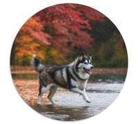 Sled Dogs 1000 Pieces Jigsaws Stress Reliever Difficult Challenge for Adults Kids Puzzle Puzzle Cute Pets Creative Round Jigsaw Puzzles Home Decor Gifts And Gifts (67.5x67.5cm)