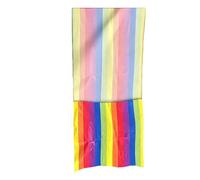 Sled Training Mat Waterproof Lightweight Fun Rainbow Bag