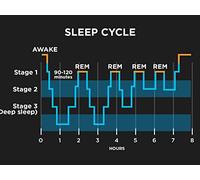 Sleep: Getting a Happy Night's Rest