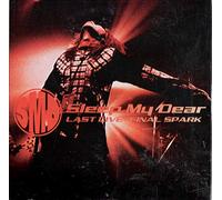 Sleep My Dear - Last Live Final Spark