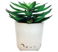 Sleep Plant - Sound Machine - Fan Sounds - White Noise - Nature Sounds