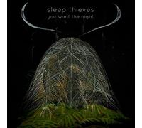 Sleep Thieves - You Want The Night