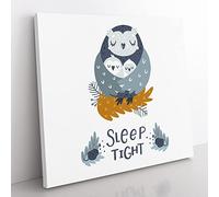 Sleep Tight Owl Modern Typography Quote Canvas Wall Art Print Ready to Hang, Framed Picture for Living Room Bedroom Home Office Décor, 50x50 cm (20x20 Inch)