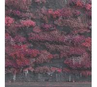 Sleep Token - Even In Arcadia (2 LP)