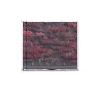 Sleep Token 'Even In Arcadia' CD Jewel Case