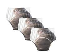 Sleep Training Pants Angry British Short-haired Cat Short Underwear