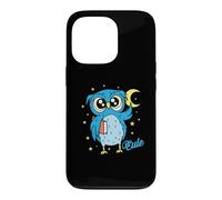 Sleep type Owl nocturnal diligent study Book Case for iPhone 13 Pro