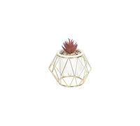 Sleepdown Halo Deep Purple Succulent Artificial Faux Plant Gold Cage Stand for Home Office Bathroom Decor Indoor Decoration Aesthetics