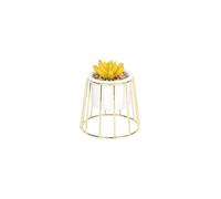 Sleepdown Halo Ochre Succulent Artificial Faux Plant Gold Cage Stand for Home Office Bathroom Decor Indoor Decoration Aesthetics