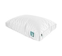 Sleepgram Bed Support Adjustable Hypoallergenic cool Sleeping Loft Soft Pillow with Removeable Microfiber cover, Queen Size, White